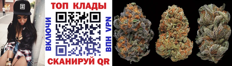 Где продают наркотики Богучар COCAIN Псилоцибиновые грибы A PVP Каннабис Гашиш
