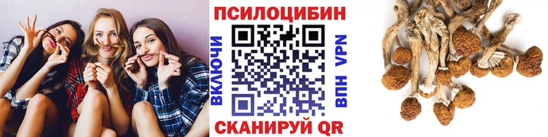 Галлюциногенные грибы прущие грибы Богучар