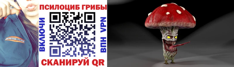 Псилоцибиновые грибы Cubensis  где продают   Богучар 